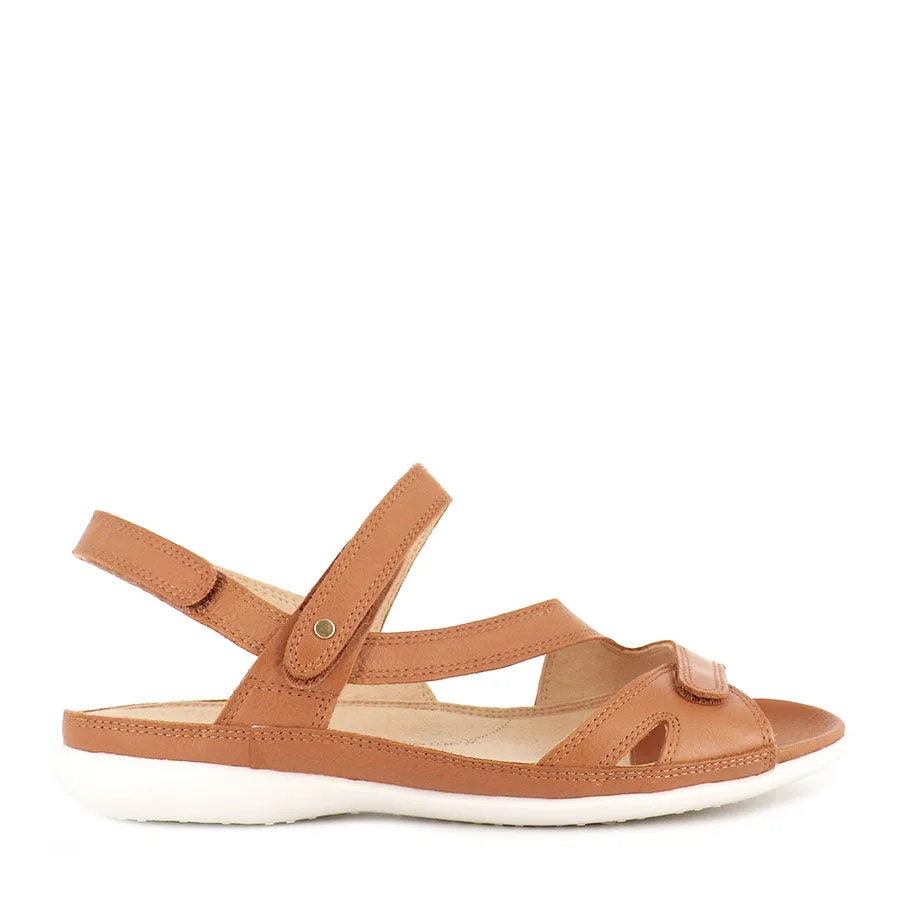 BELTA W - DARK TAN LEATHER