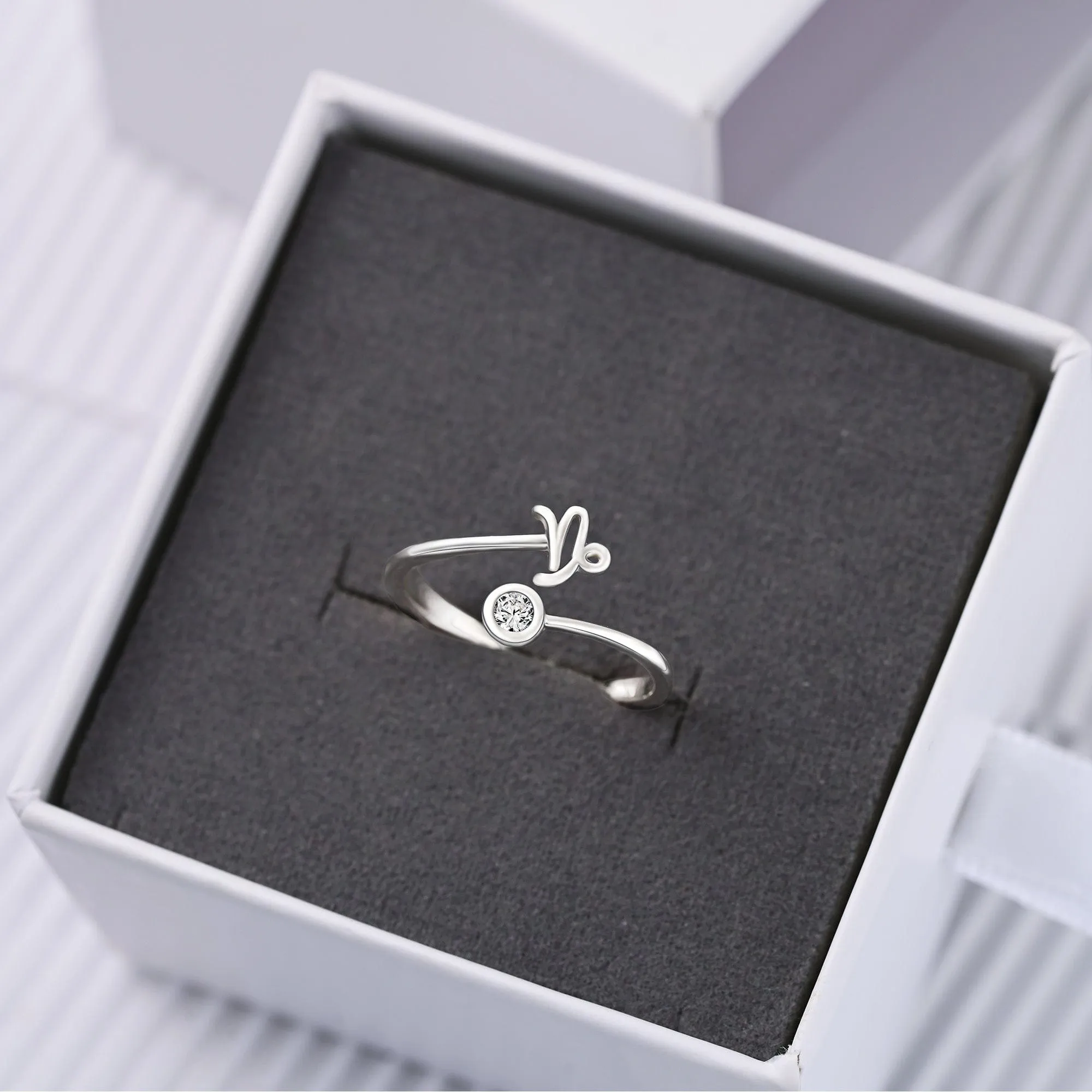 Capricorn Ring Sterling Silver Adjustable Zodiac Sign Ring