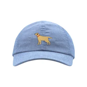 Classic Ball Cap - Lab