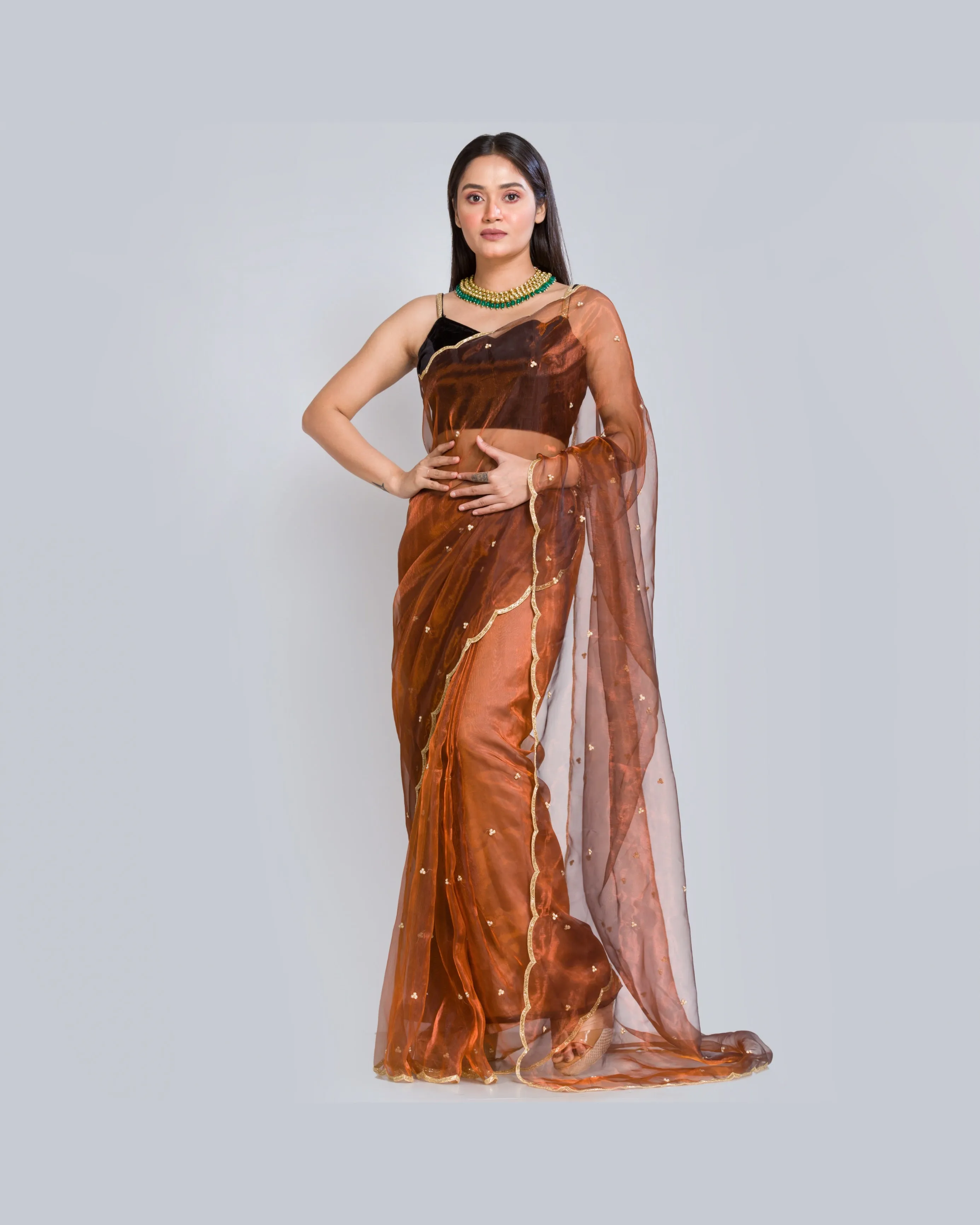 Copper Glass Tissue Saree With Handembroidered Scalloping